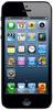 Смартфон Apple iPhone 5 16Gb Black & Slate - Ногинск