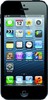 Apple iPhone 5 32GB - Ногинск